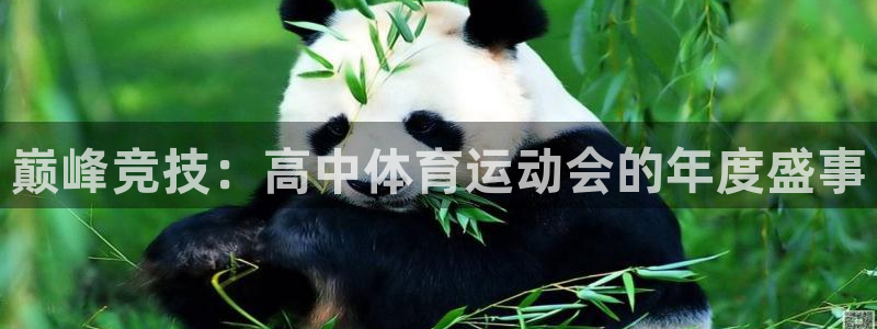 意昂42平台注册：巅峰竞技：高中体育运动会的年度盛事