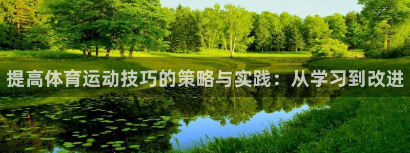 意昂4能源：提高体育运动技巧的策略与实践：从学习到改进