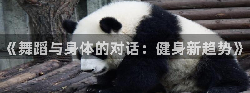 意昂4是大平台吗：《舞蹈与身体的对话：健身新趋势》