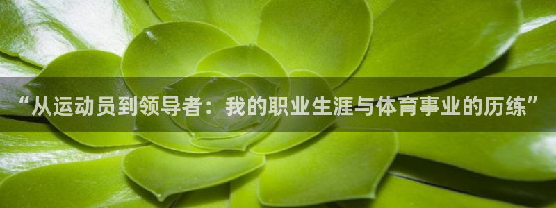 意昂42体育登录入口：“从运动员到领导者：我的职业生涯与体育事业的历练”