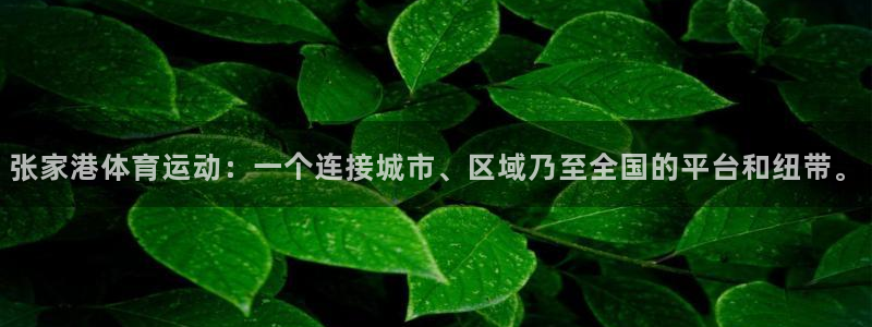 意昂4