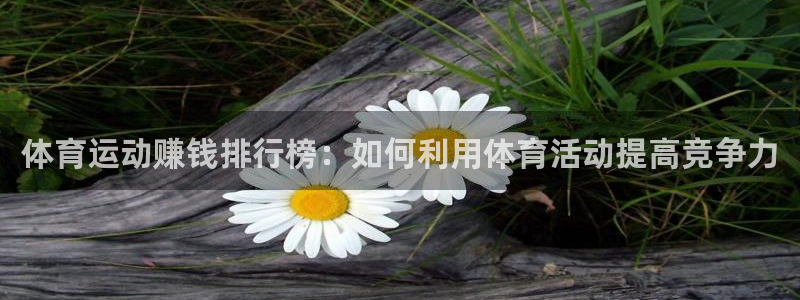 意昂42登录地址：体育运动赚钱排行榜：如何利用体育活动提高竞争力