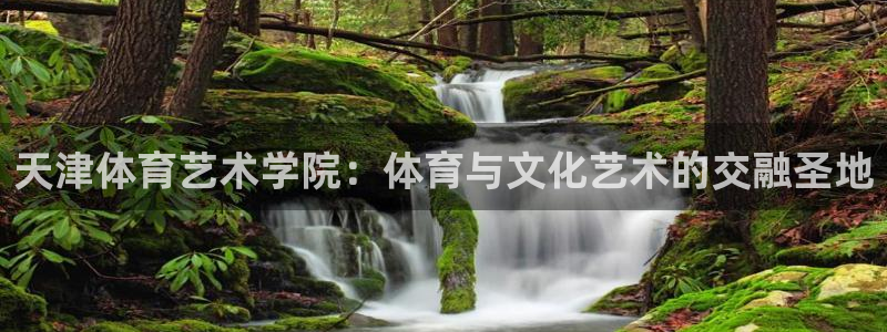 意昂42官网：天津体育艺术学院：体育与文化艺术的交融圣地