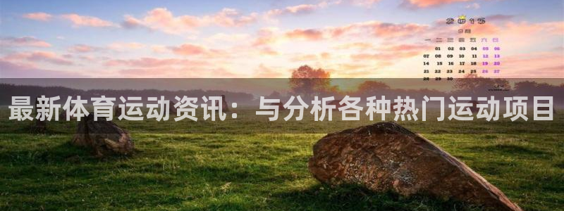 意昂4平台招商：最新体育运动资讯：与分析各种热门运动项目