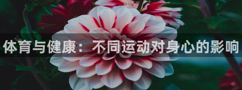 意昂4登录入口：体育与健康：不同运动对身心的影响