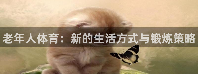 意昂43代理：老年人体育：新的生活方式与锻炼策略