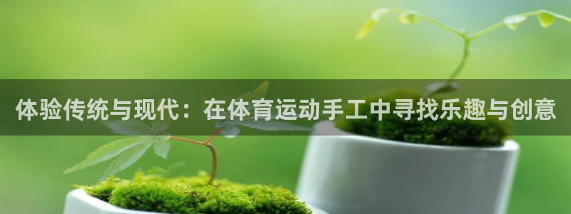 意昂44注册：体验传统与现代：在体育运动手工中寻找乐趣与创意