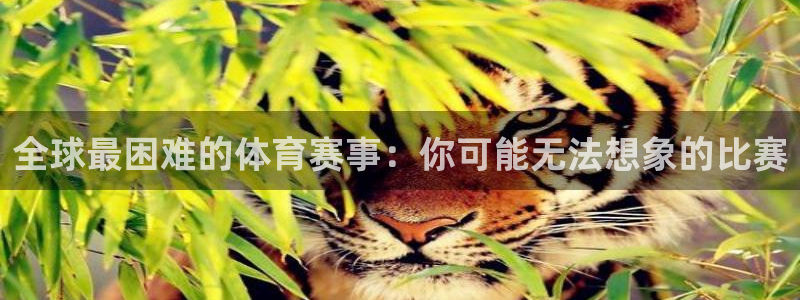意昂4平台：全球最困难的体育赛事：你可能无法想象的比赛