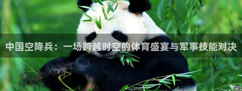 意昂4体育2：中国空降兵：一场跨越时空的体育盛宴与军事技能对决