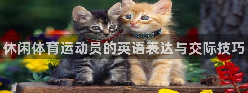 意昂44登录：休闲体育运动员的英语表达与交际技巧