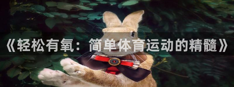 意昂4招商：《轻松有氧：简单体育运动的精髓》