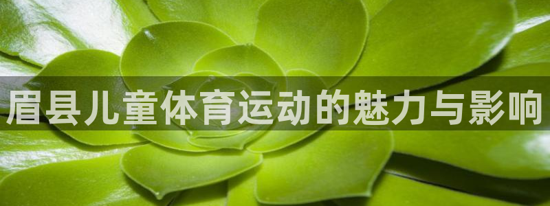 意昂4注册：眉县儿童体育运动的魅力与影响