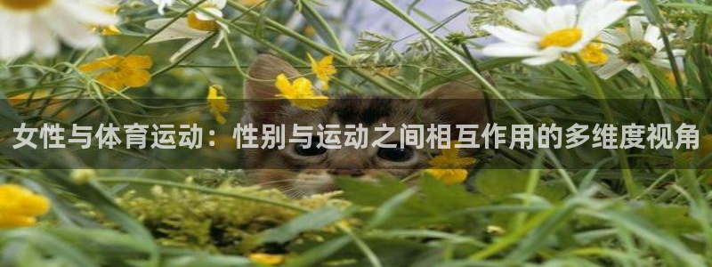 意昂4是大平台吗：女性与体育运动：性别与运动之间相互作用的多维度视角