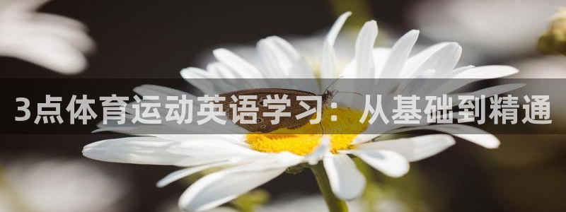 意昂44代理：3点体育运动英语学习：从基础到精通