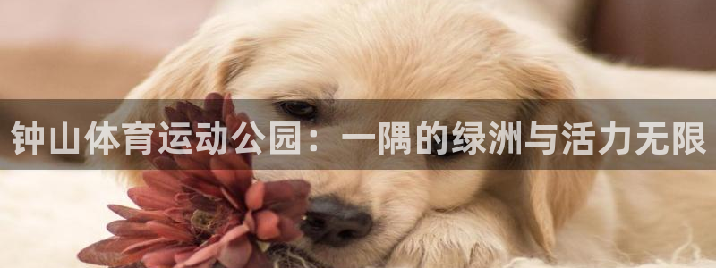 意昂4平台注册入口：钟山体育运动公园：一隅的绿洲与活力无限