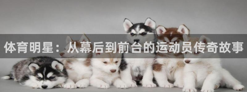 意昂4体育3在线注册：体育明星：从幕后到前台的运动员传奇故事