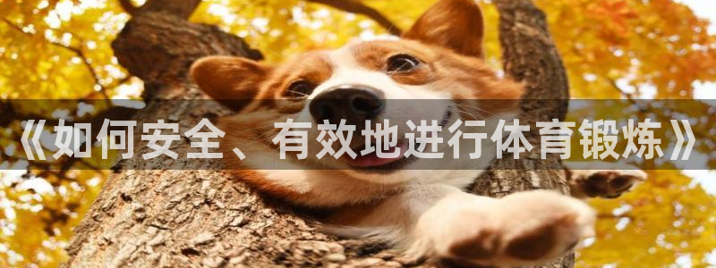 意昂4体育平台注册：《如何安全、有效地进行体育锻炼》