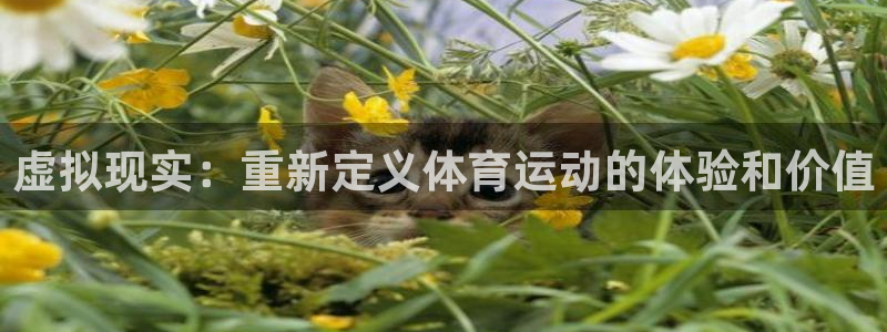 意昂4官网注册：虚拟现实：重新定义体育运动的体验和价值