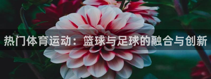 意昂4零能源集团：热门体育运动：篮球与足球的融合与创新