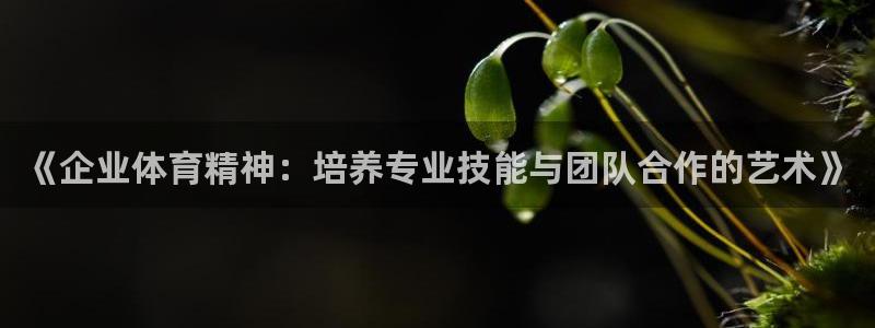 意昂44注册：《企业体育精神：培养专业技能与团队合作的艺术》
