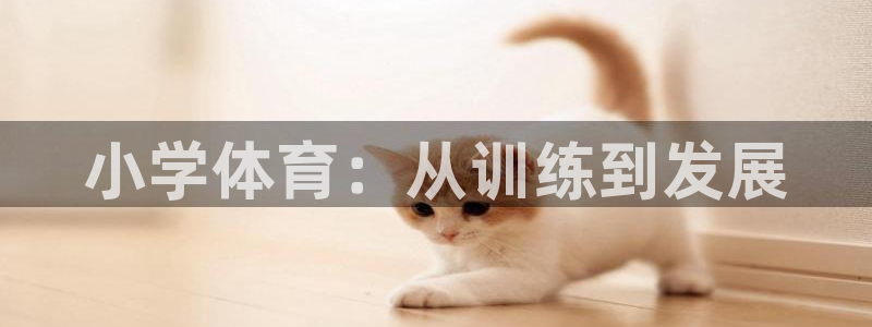 意昂4主管：小学体育：从训练到发展