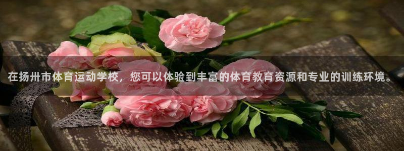 意昂44平台：在扬卅市体育运动学校，您可以体验到丰富的体育教育资源和专业的训练环境。
