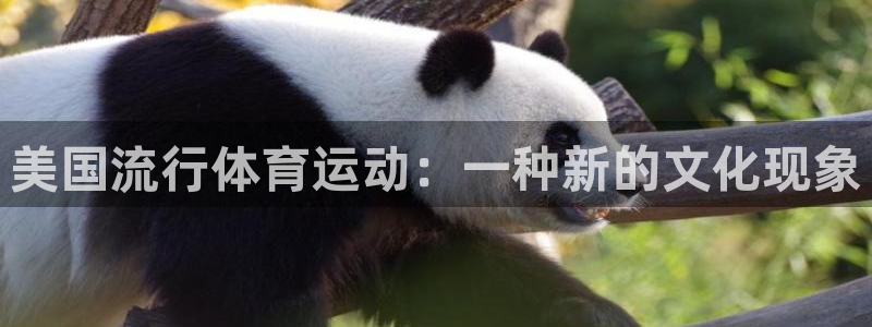 意昂4体育2官网入口：美国流行体育运动：一种新的文化现象
