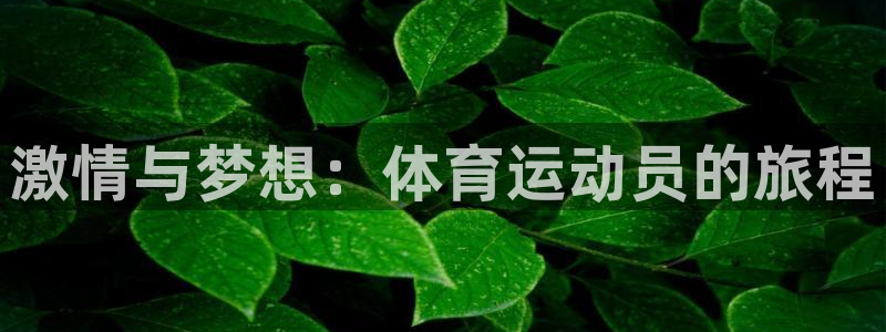 意昂42代理注册：激情与梦想：体育运动员的旅程