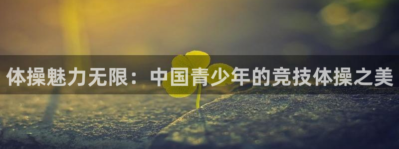 意昂4：体操魅力无限：中国青少年的竞技体操之美