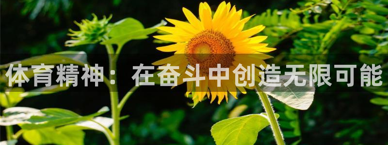 意昂44官网