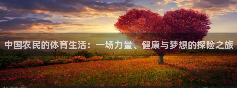 意昂4平台：中国农民的体育生活：一场力量、健康与梦想的探险之旅