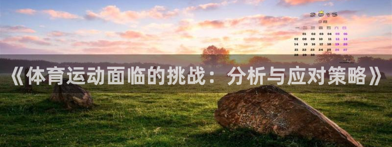 意昂4代理注册官网入口：《体育运动面临的挑战：分析与应对策略》