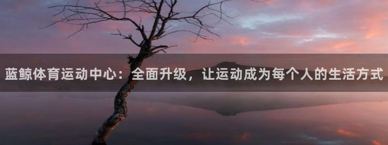 意昂4代理：蓝鲸体育运动中心：全面升级，让运动成为每个人的生活方式